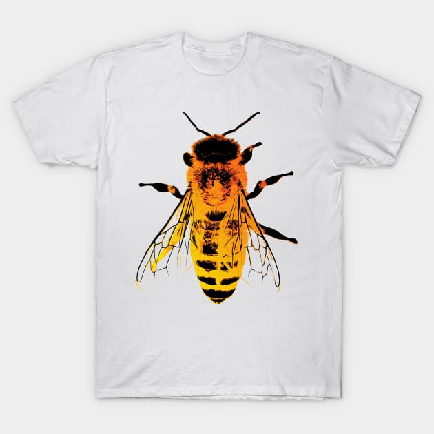 Honey Bee Bug Art T-Shirt by polliadesign